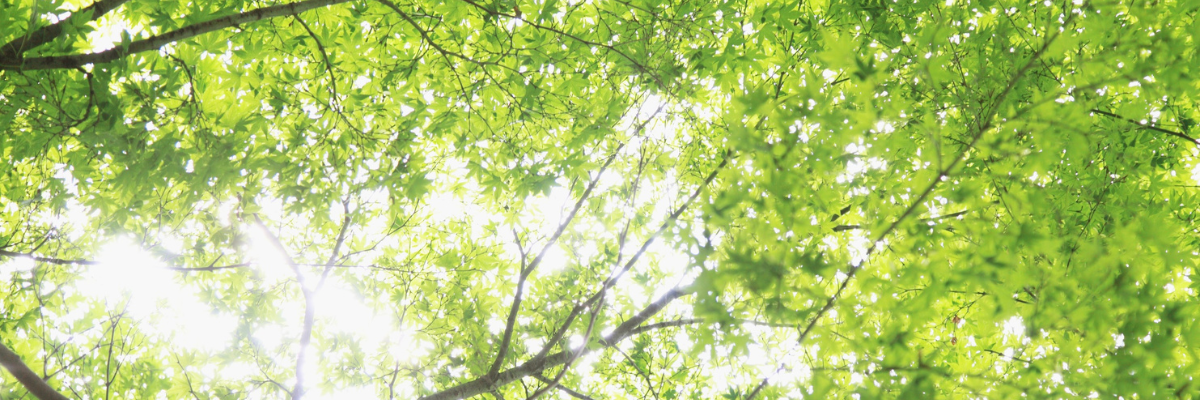 名古屋市・あま市の就労継続支援B型｜なの花・おひさまハウス